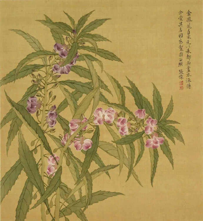  清 张伟 写生花卉册2