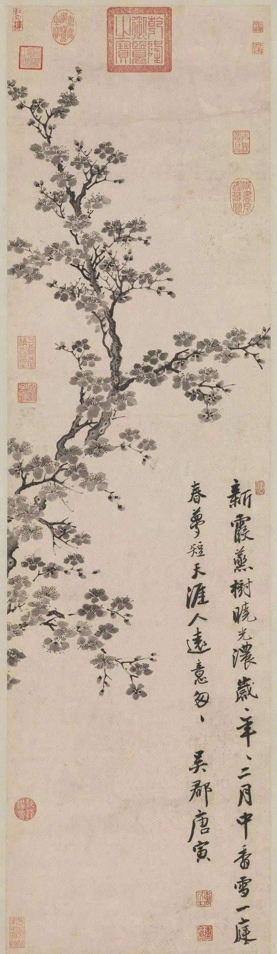 唐寅《杏花图》