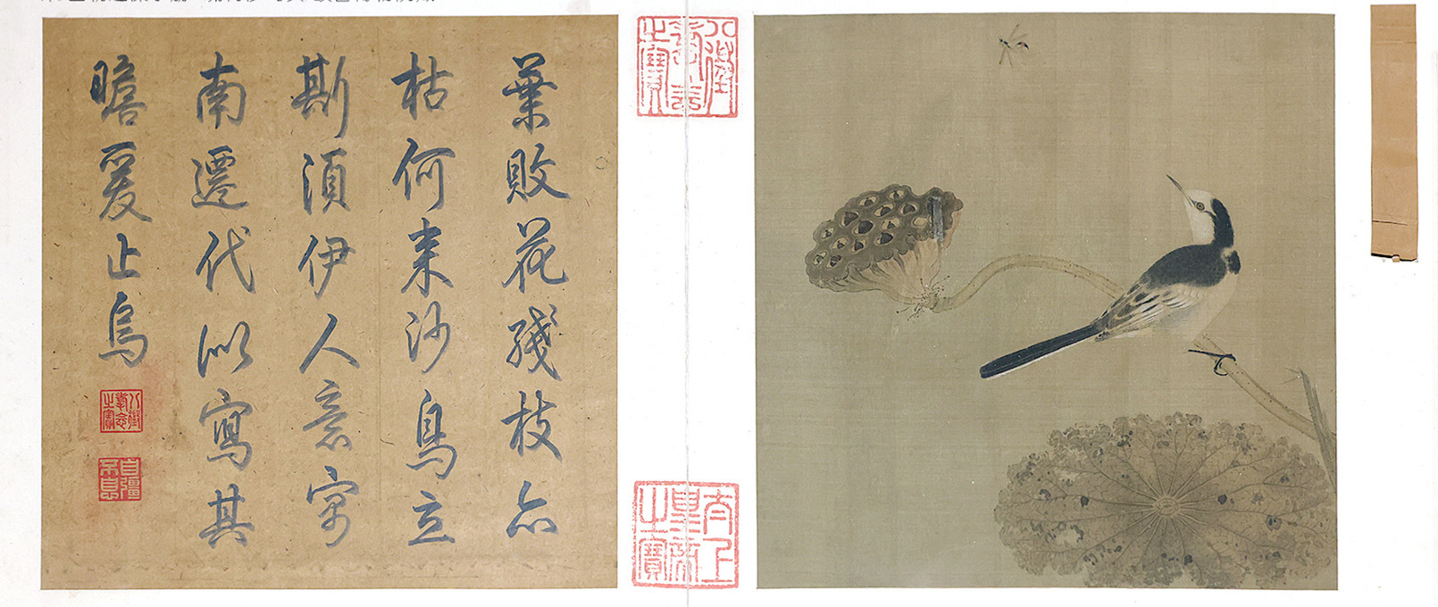 宋 《四朝选藻册》疏荷沙鸟页 故宫博物院藏