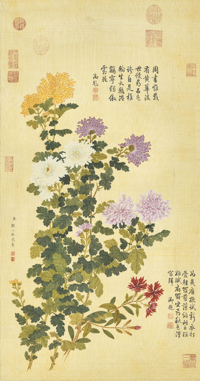 清 邹一桂《霜菊秋罗轴》