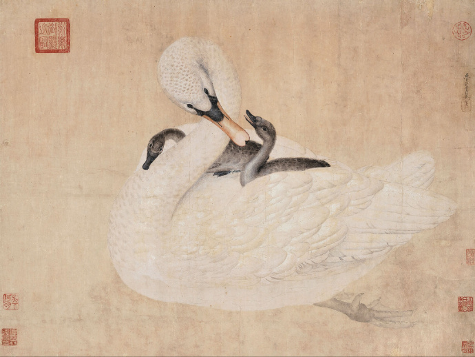 南宋 鲁宗贵《鹅图》(传)