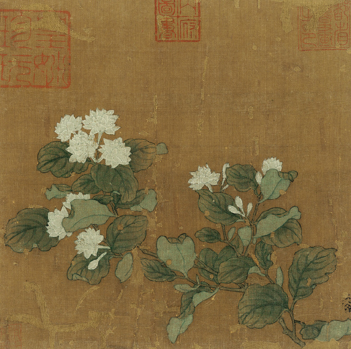南宋 马麟《茉莉舒芳图》