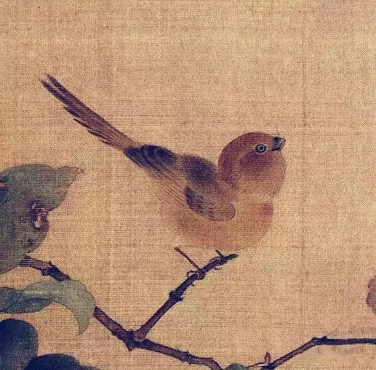 宋画里的博物学：这些花草珍禽你认识多少？