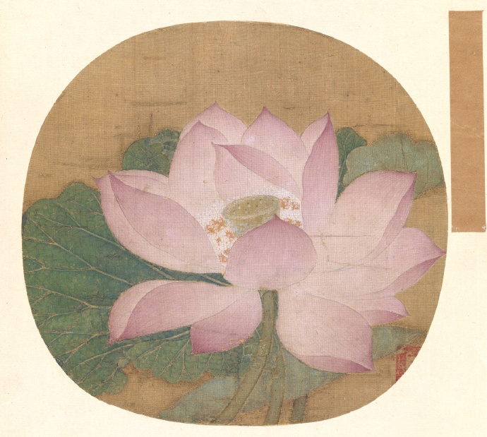  宋 佚名 《出水芙蓉图》