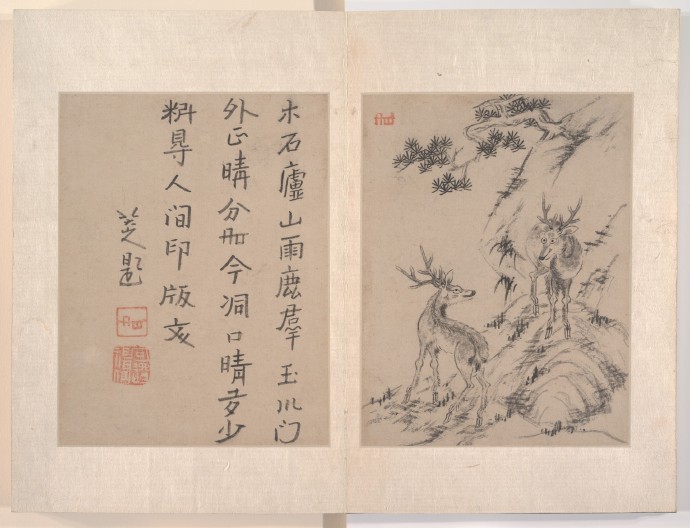  八大山人十二页小画