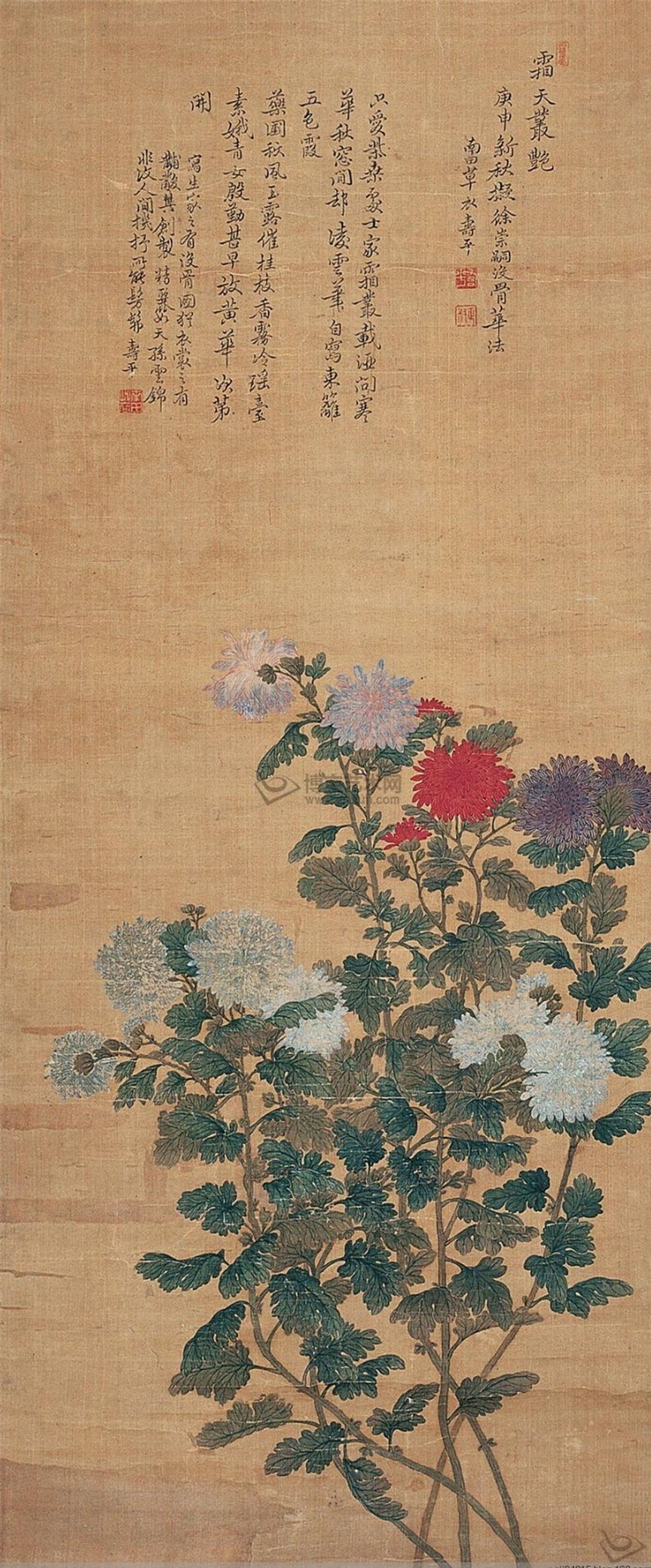 清代.恽寿平花卉集锦（2）