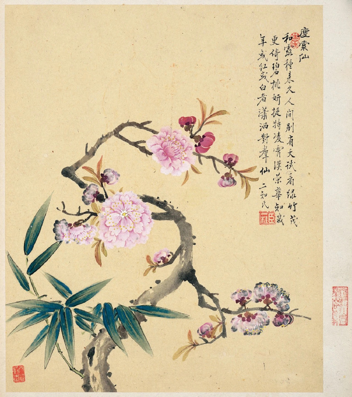 清.邹一桂《花卉八开》