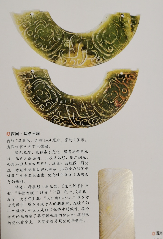 商周战汉独特的：凤鸟纹