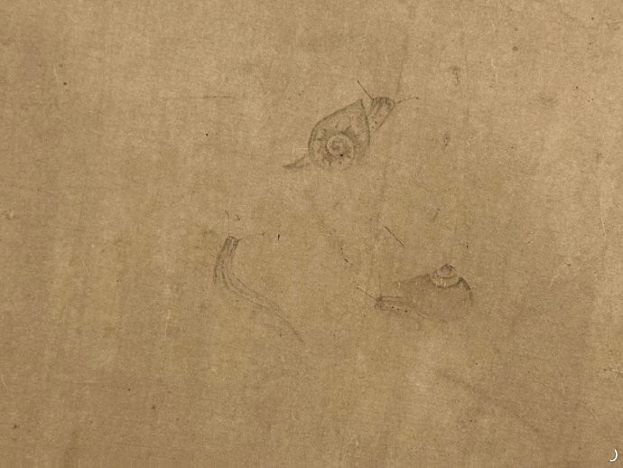 故宫博物院藏动物题材绘画 元代作品