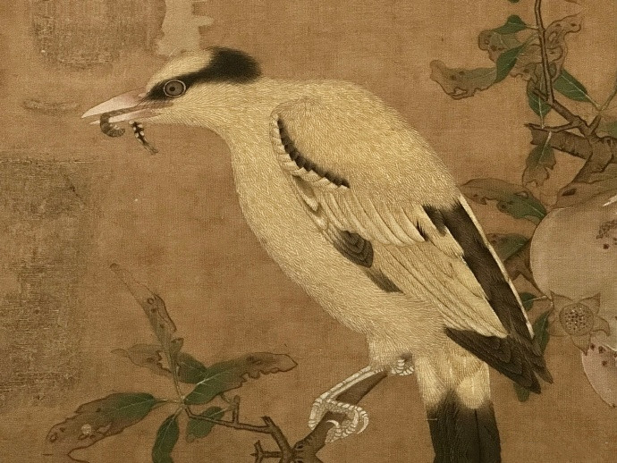 故宫博物院藏动物题材绘画 宋金作品