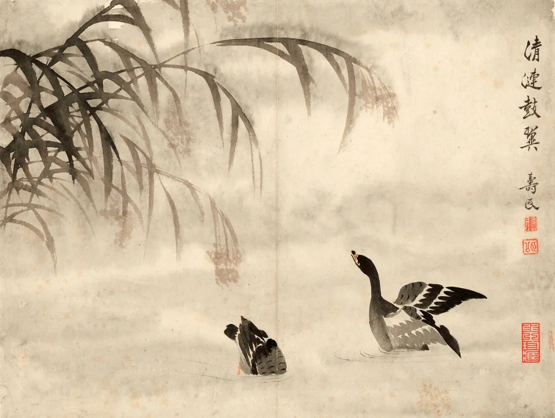 清 · 边寿民《芦雁图册》十开