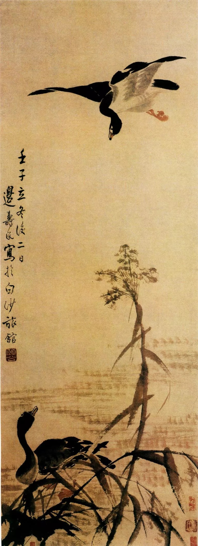 芦雁图 边寿民