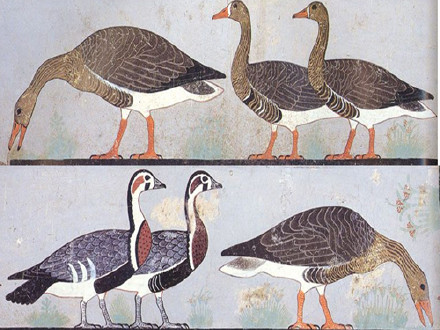 古代埃及古王国时期壁画《群雁图》（约前2600年）