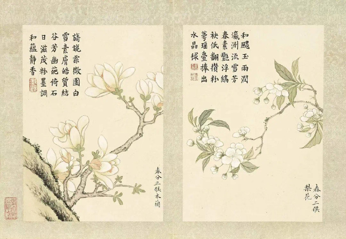 董诰 清 花卉《二十四番花信风图》册页