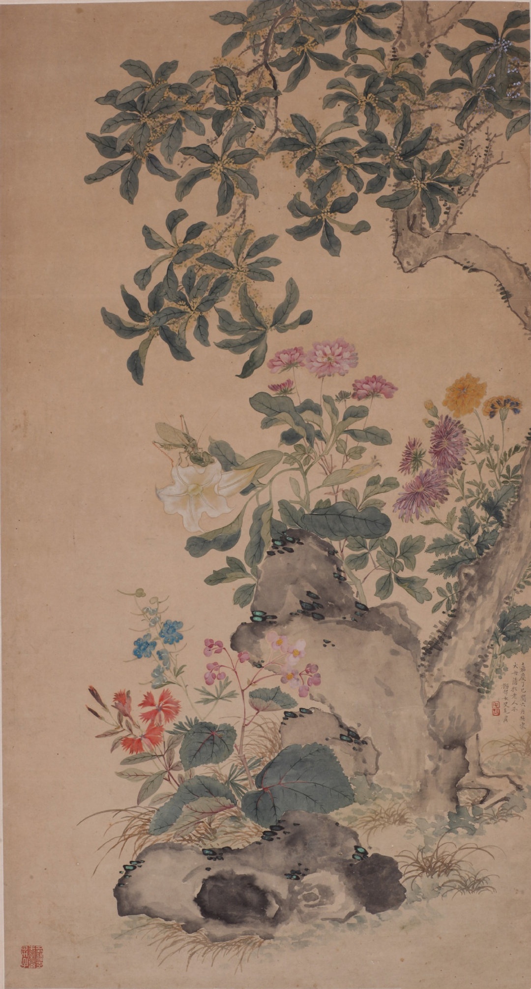 清毛周《秋卉图轴》