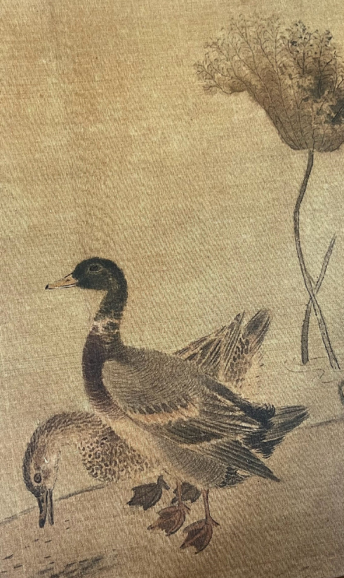 宋元花鸟小品