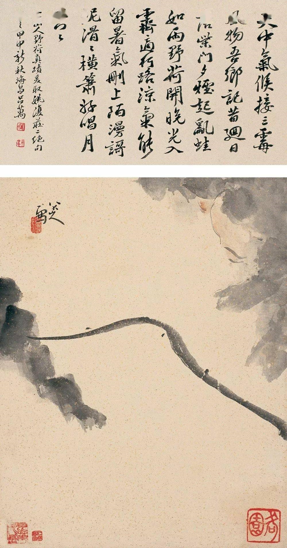 朱耷（八大山人）《野荷清趣》