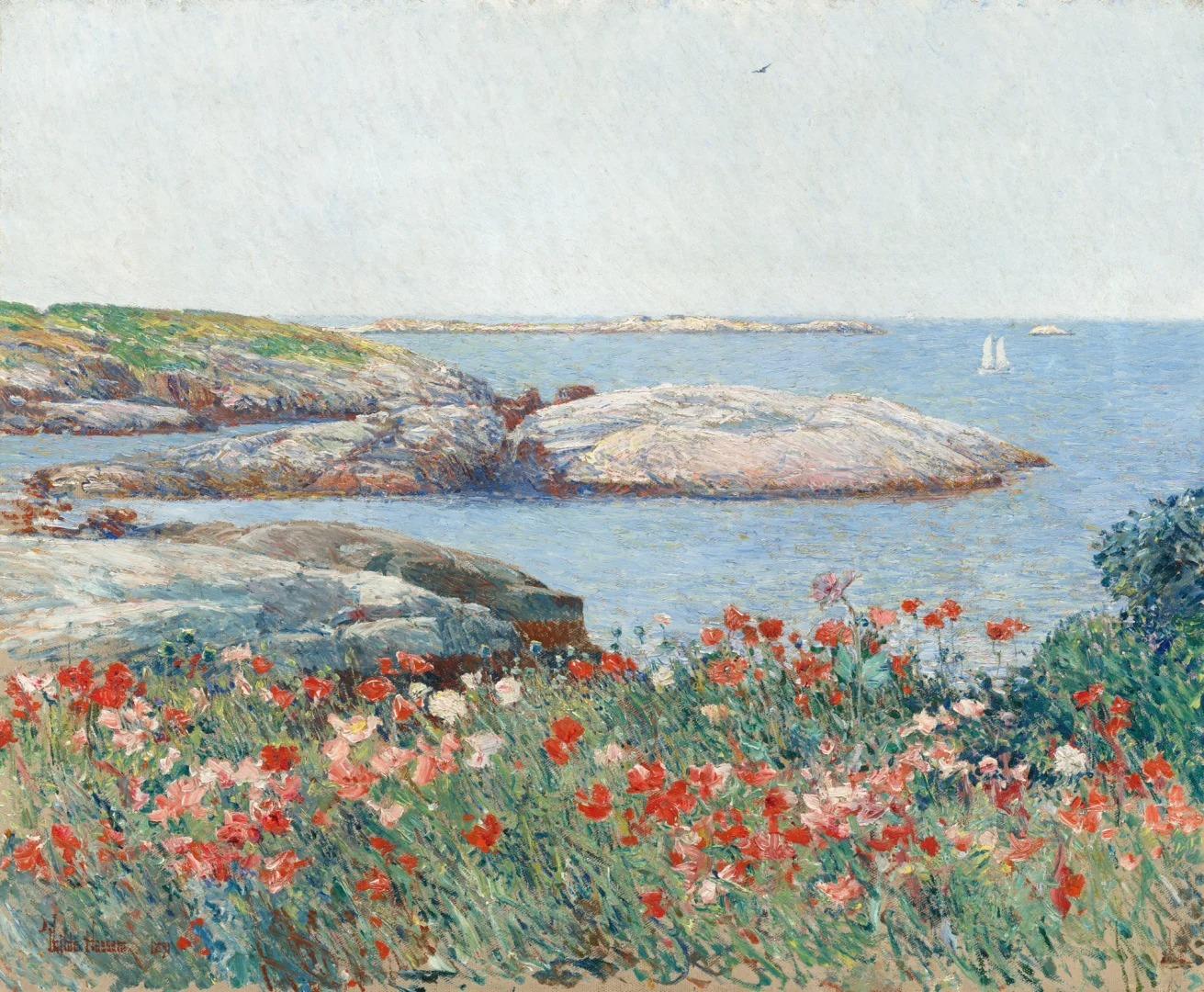 Poppies, Isles of Shoals ／ 浅滩岛的罂粟
