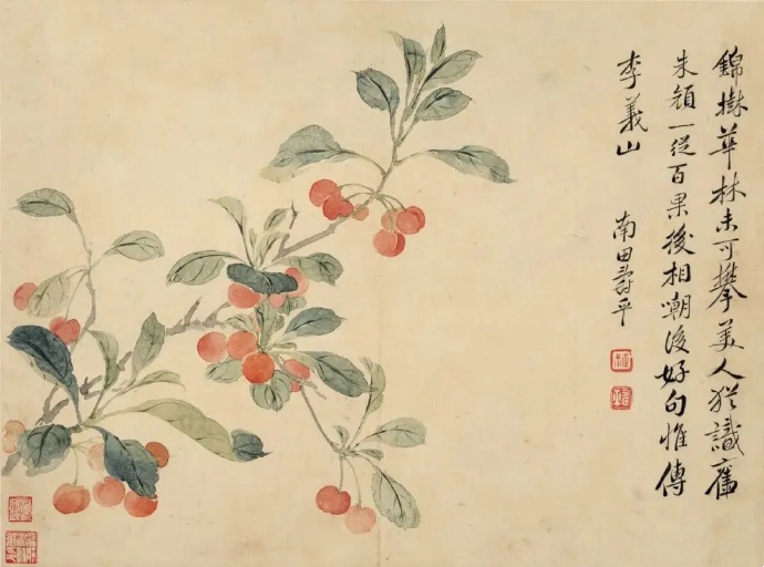 恽寿平-樱桃