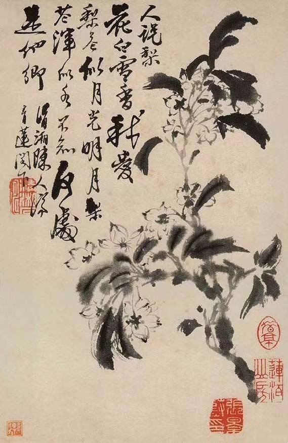 石涛《水墨梨花》