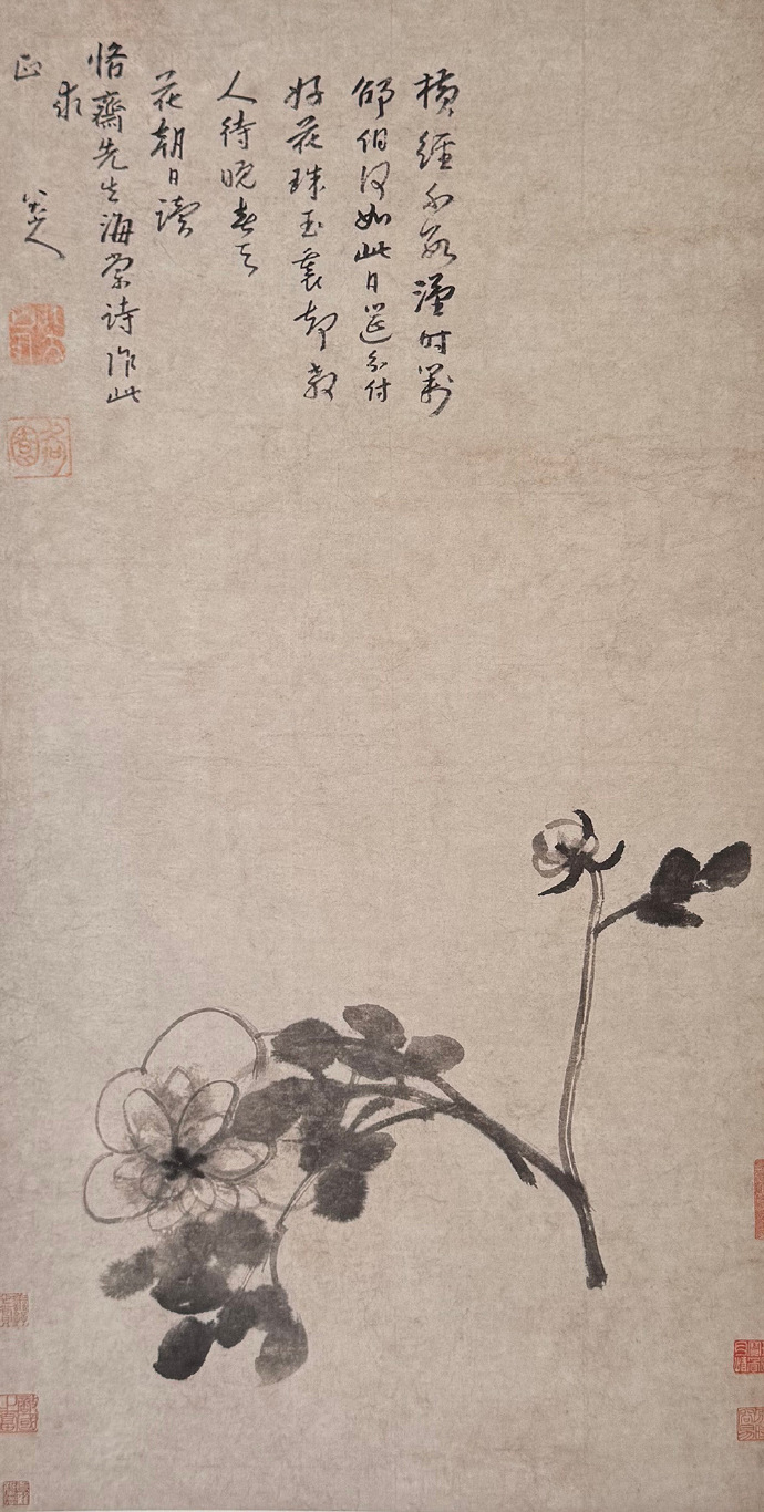 八大山人《芍药图》