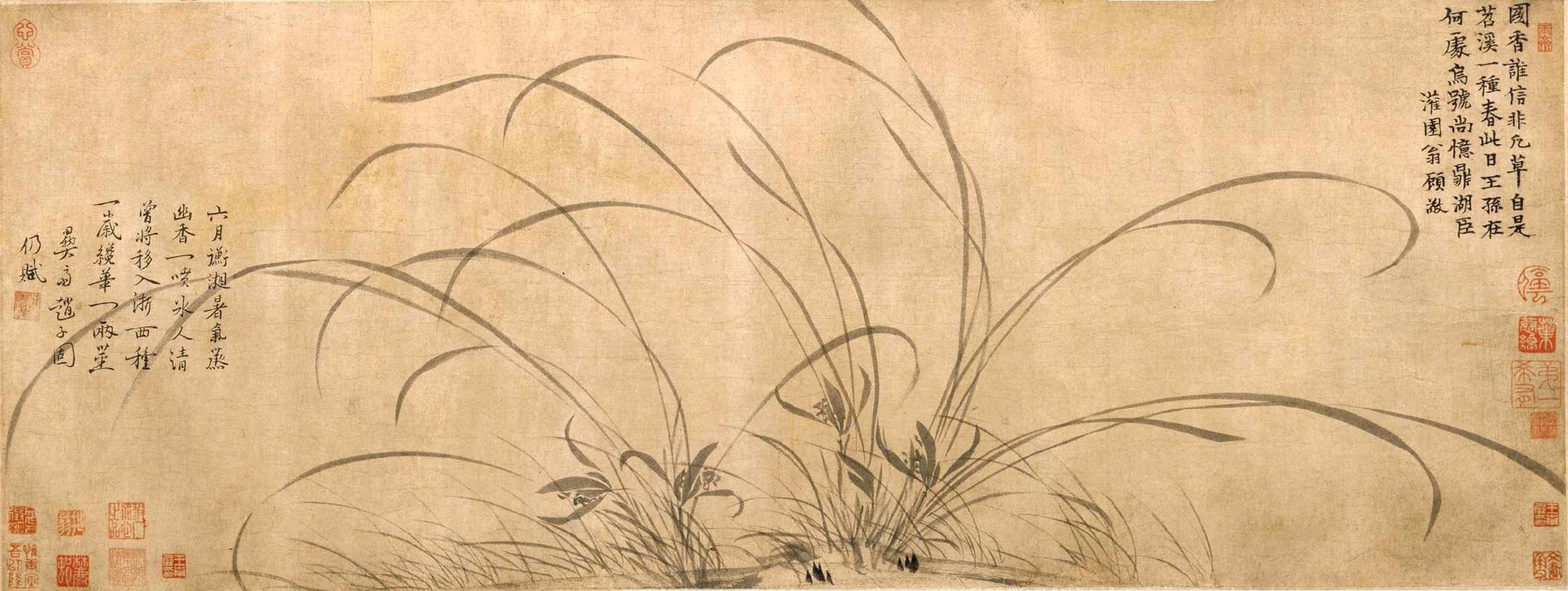 南宋赵孟坚墨兰图