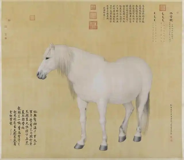 清代郎世宁《十骏图图册》欣赏