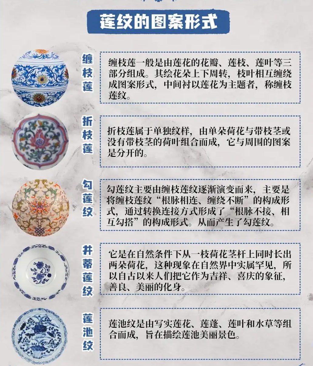 一文读懂瓷器上的莲纹
