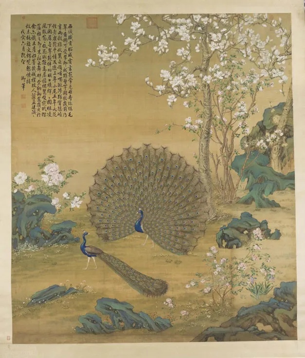 郎世宁《孔雀开屏图》