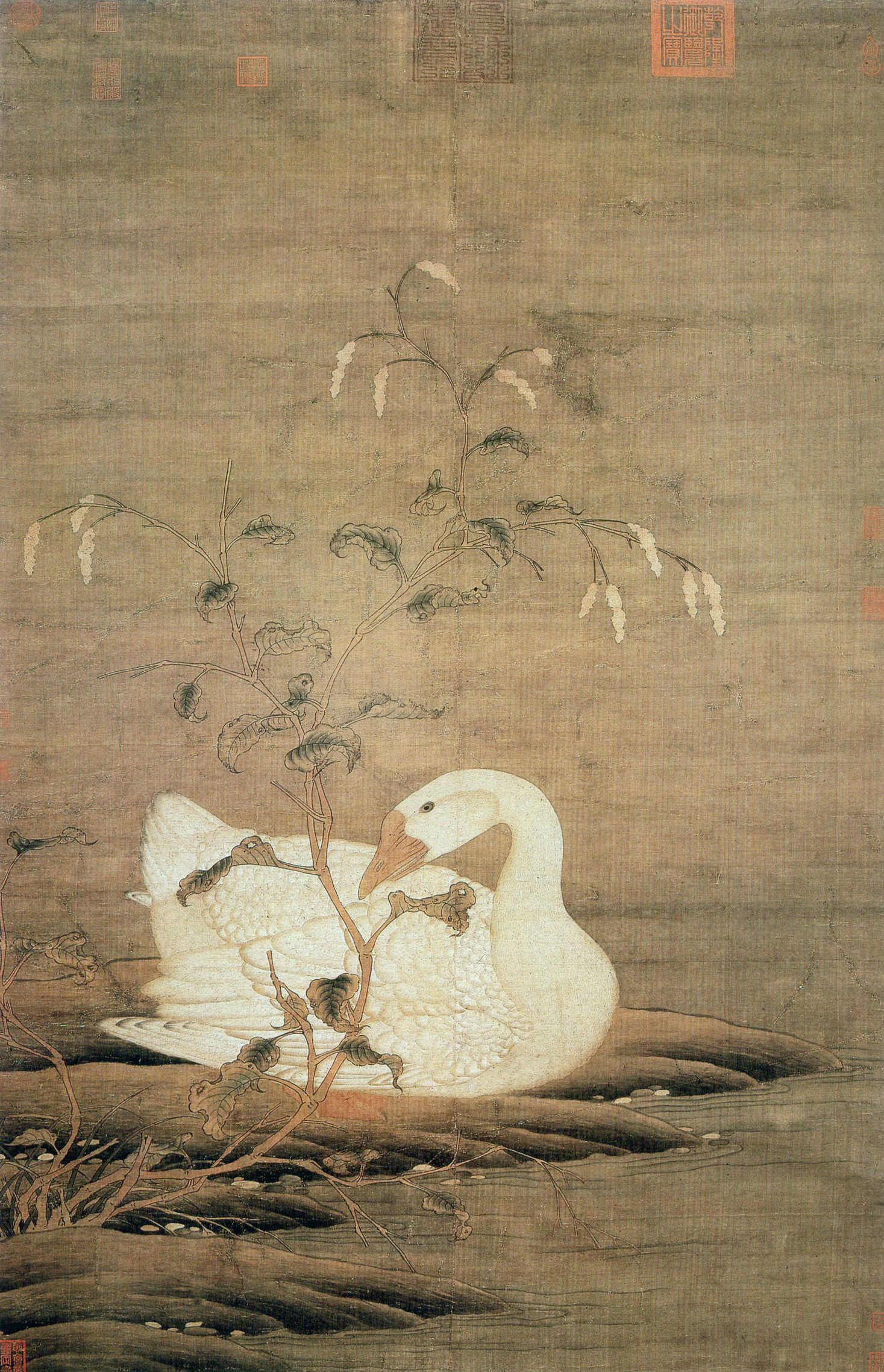 北宋 赵佶《红蓼白鹅图》