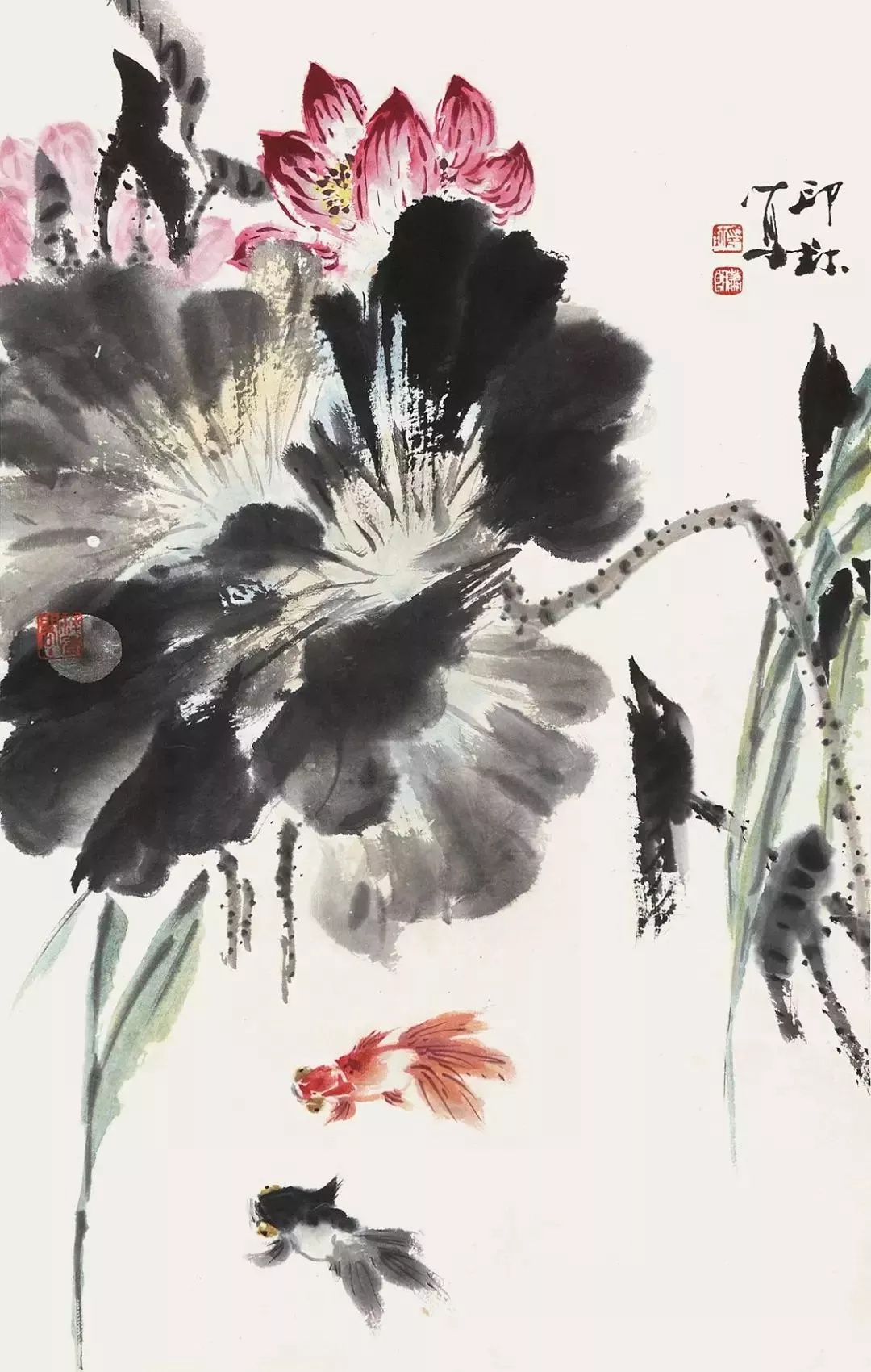 历代名家画笔下的鱼(4)