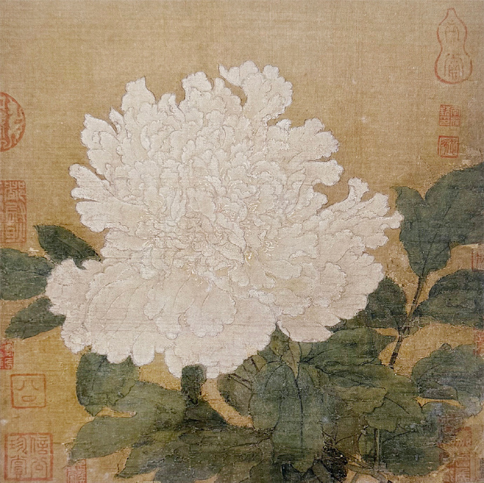宋 徐熙（传）《牡丹图》