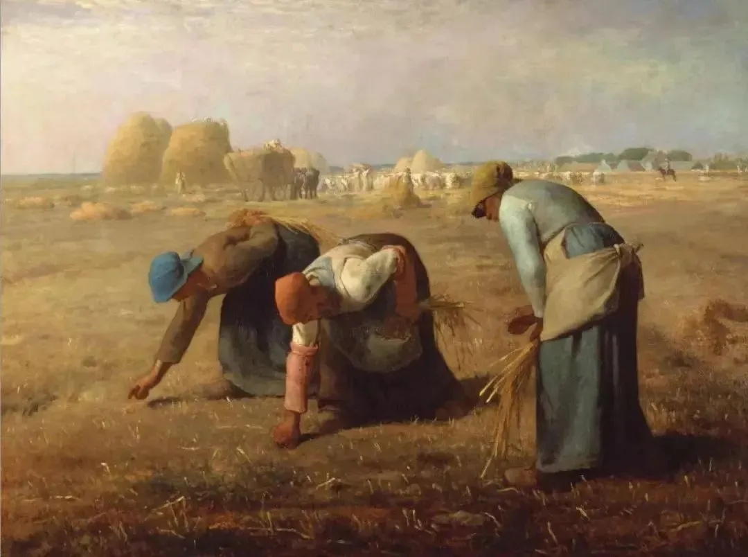  《拾穗者》The Gleaners